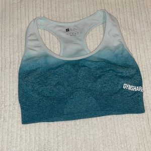 Gym Shark Sport Bra Green Ombré